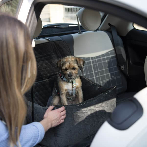 Fotel samochodowy dla psa
