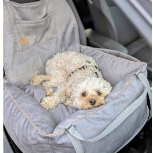 welur-popielaty-2-500x500